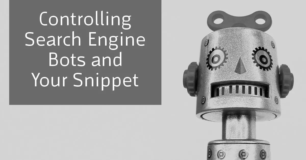 Controlling Search Engine Bots and Your Search Snippet