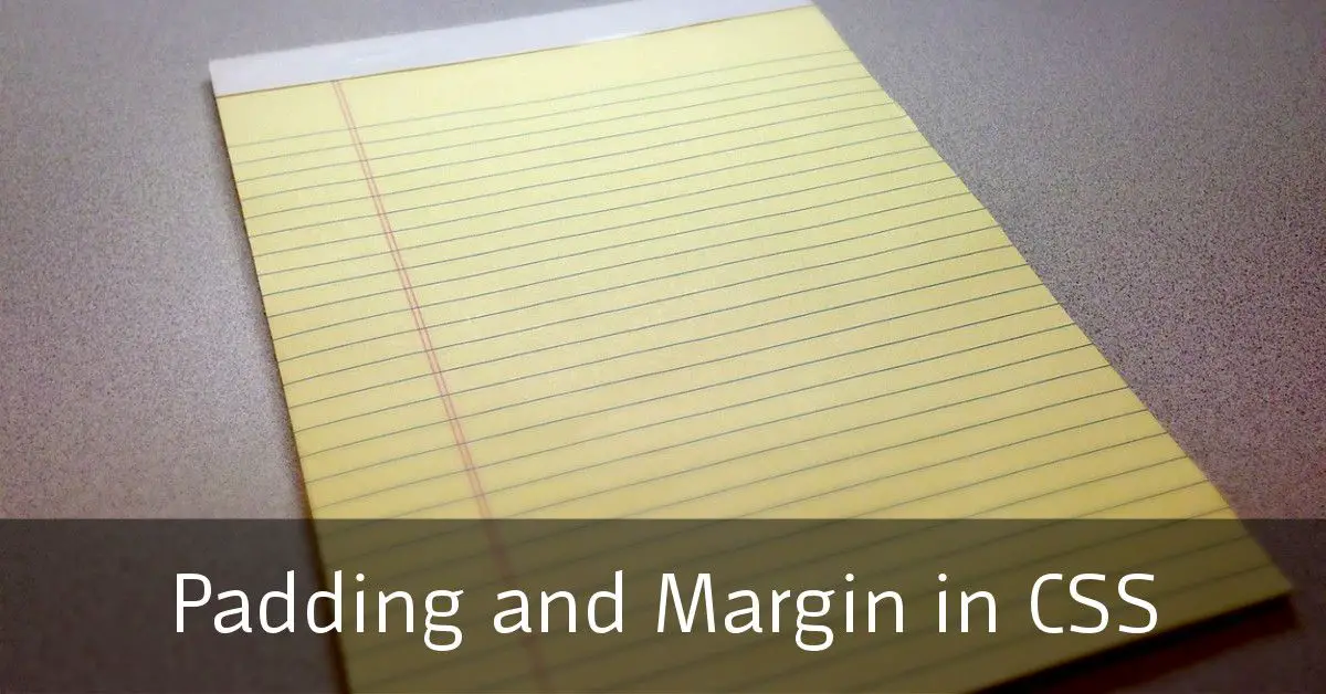 Padding and Margin in CSS: What's the Difference?